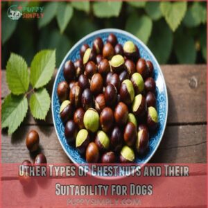 Other Types of Chestnuts and Their Suitability for Dogs