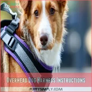 Overhead Dog Harness Instructions