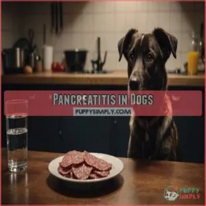 Pancreatitis in Dogs