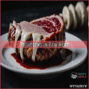 Pathogens in Raw Meat