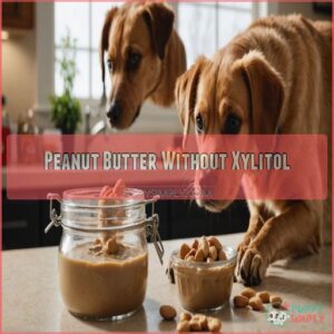 Peanut Butter Without Xylitol