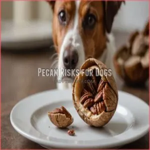 Pecan Risks for Dogs