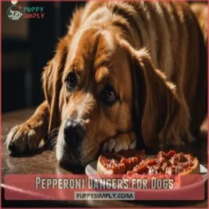 Pepperoni Dangers for Dogs