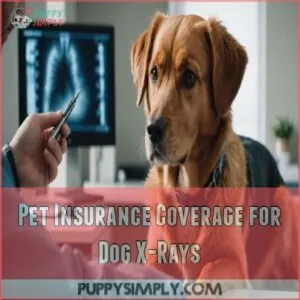 Pet Insurance Coverage for Dog X-Rays