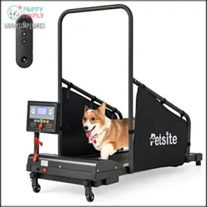 PETSITE Dog Treadmill, Pet Dog