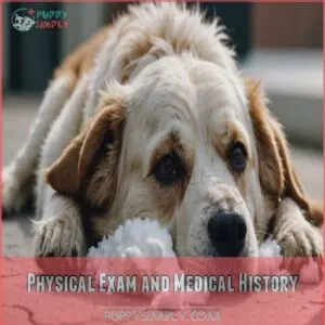 Physical Exam and Medical History