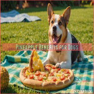 Pineapple Benefits for Dogs