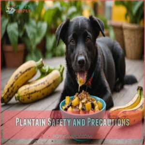 Plantain Safety and Precautions