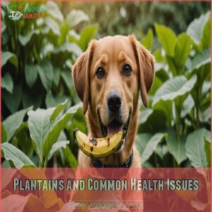 Plantains and Common Health Issues