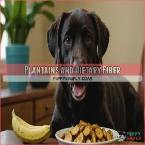 Plantains and Dietary Fiber