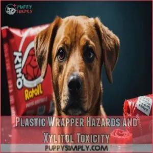 Plastic Wrapper Hazards and Xylitol Toxicity