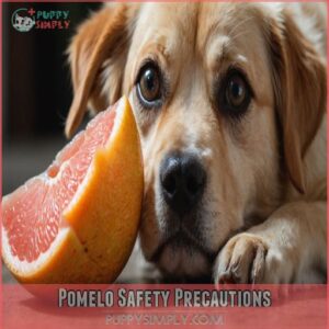 Pomelo Safety Precautions