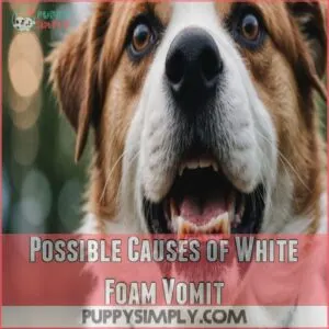 Possible Causes of White Foam Vomit