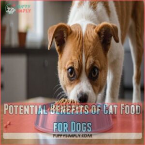 Potential Benefits of Cat Food for Dogs