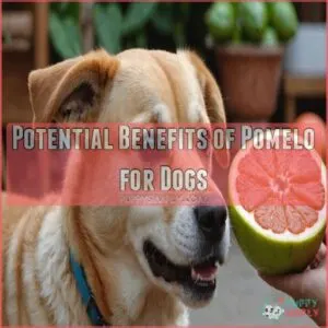 Potential Benefits of Pomelo for Dogs