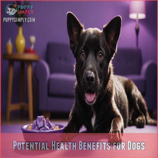 Potential Health Benefits for Dogs