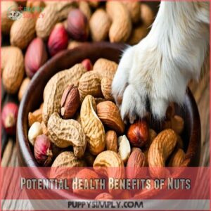 Potential Health Benefits of Nuts