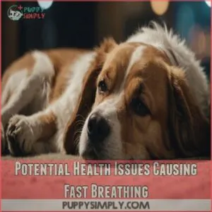 Potential Health Issues Causing Fast Breathing