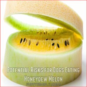 Potential Risks for Dogs Eating Honeydew Melon