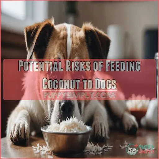 Potential Risks of Feeding Coconut to Dogs