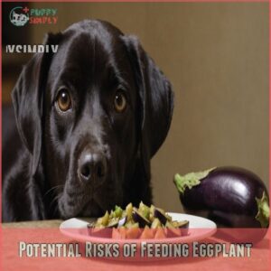 Potential Risks of Feeding Eggplant