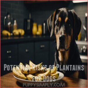 Potential Risks of Plantains for Dogs