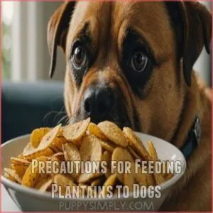 Precautions for Feeding Plantains to Dogs
