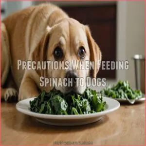 Precautions When Feeding Spinach to Dogs