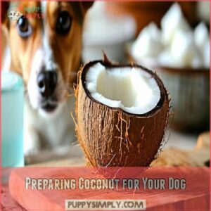 Preparing Coconut for Your Dog