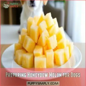 Preparing Honeydew Melon for Dogs