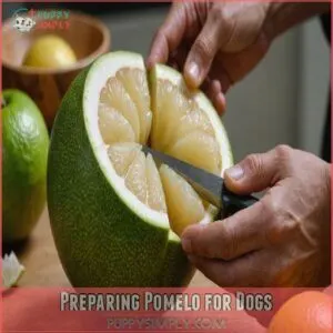 Preparing Pomelo for Dogs