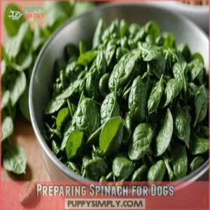 Preparing Spinach for Dogs