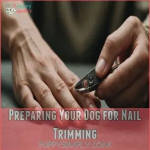 Preparing Your Dog for Nail Trimming