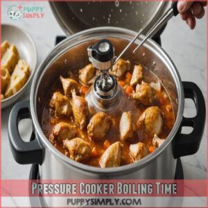 Pressure Cooker Boiling Time Pressure Cooker Boiling Time