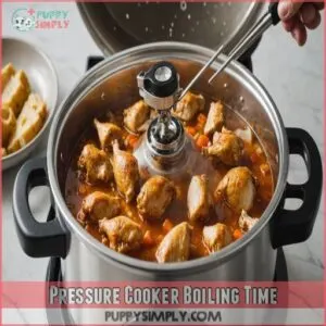 Pressure Cooker Boiling Time