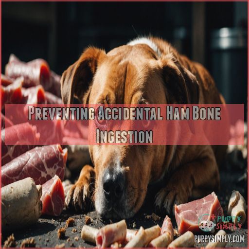 Preventing Accidental Ham Bone Ingestion