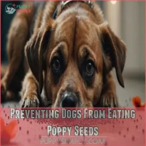 Preventing Dogs From Eating Poppy Seeds