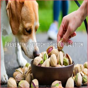 Preventing Pistachio Shell Ingestion