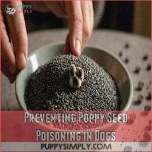 Preventing Poppy Seed Poisoning in Dogs