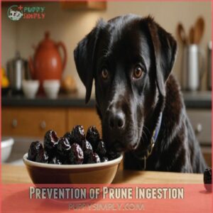 Prevention of Prune Ingestion