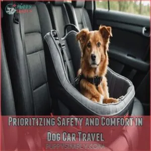 Prioritizing Safety and Comfort in Dog Car Travel