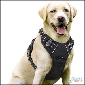 rabbitgoo Dog Harness No Pull