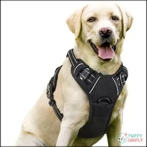 rabbitgoo Dog Harness, No-Pull Pet