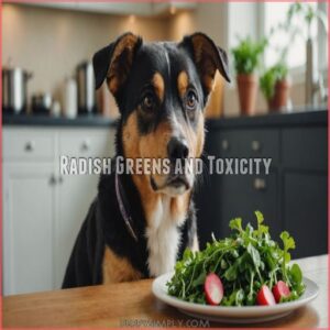 Radish Greens and Toxicity