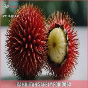 Rambutan Safety for Dogs