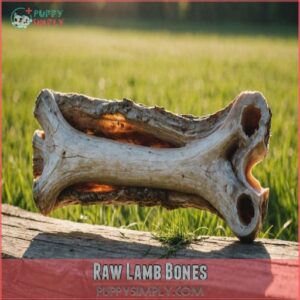 Raw Lamb Bones