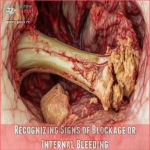 Recognizing Signs of Blockage or Internal Bleeding