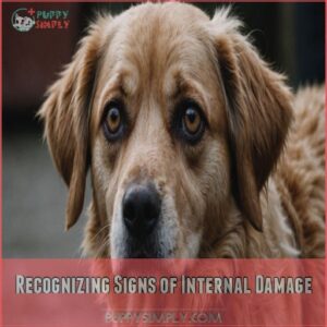 Recognizing Signs of Internal Damage