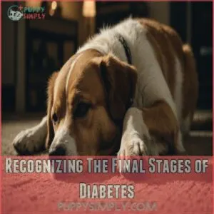 Recognizing The Final Stages of Diabetes