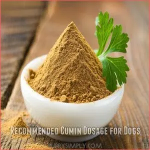 Recommended Cumin Dosage for Dogs